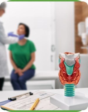 Thyroid Treatment at Koala® Center for Sleep and TMJ Disorders